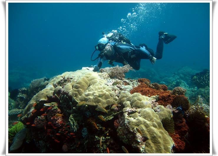 Hotel Anilao Scuba Dive Center Batangas Exterior foto